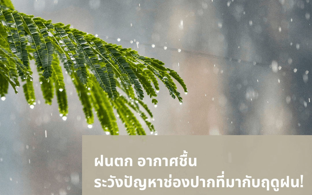  ฝนตก อากาศชื้น… ระวังปัญหาช่องปากที่มากับฤดูฝน! 